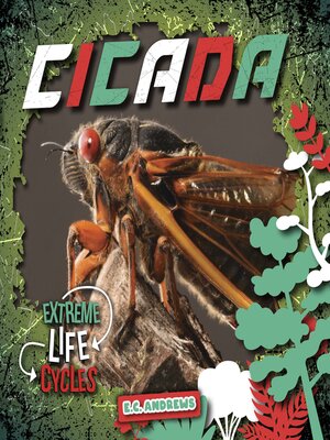 cover image of Cicada